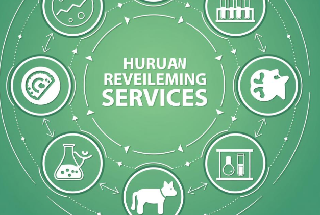 安全性评价：守护工业、商超、交通环境的实用防线