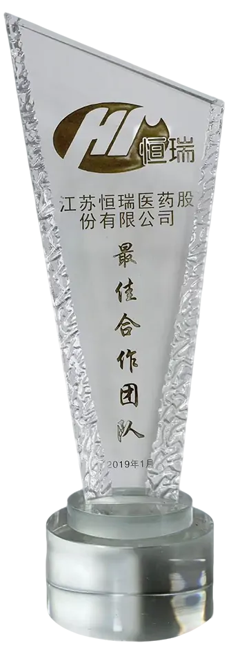 恒瑞最佳合作团队