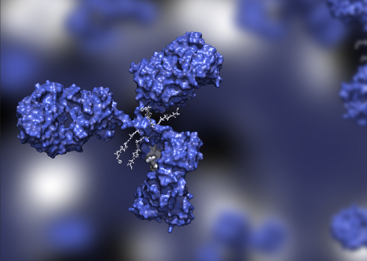 【PharmaLegacy ADC系列·第六篇】PK与剂量设计篇：为什么ADC无法按需加量