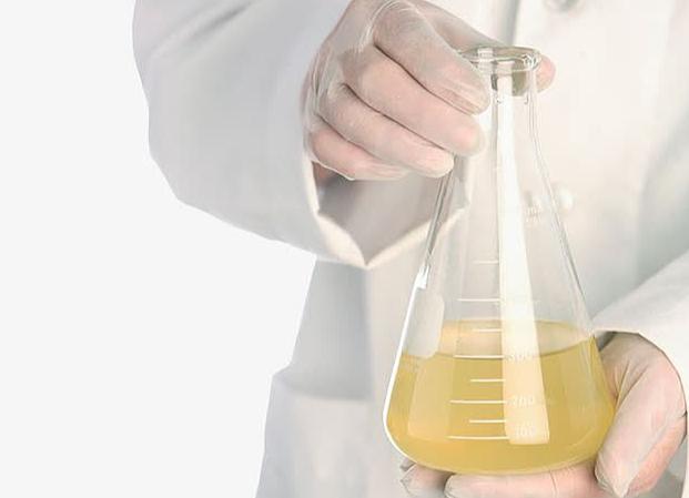 非毒理实验：药物研发中的关键角色与多元应用