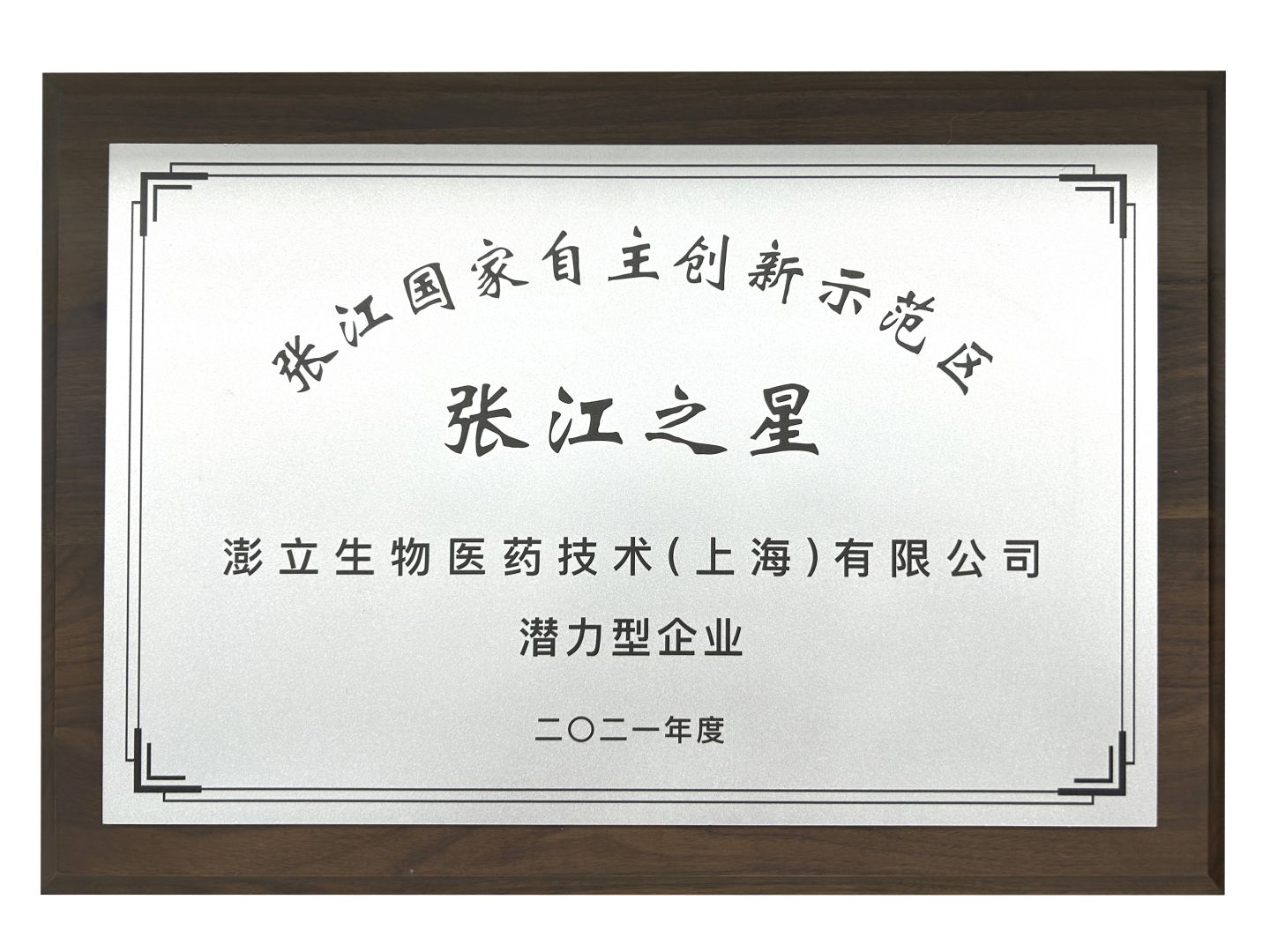 张江之星