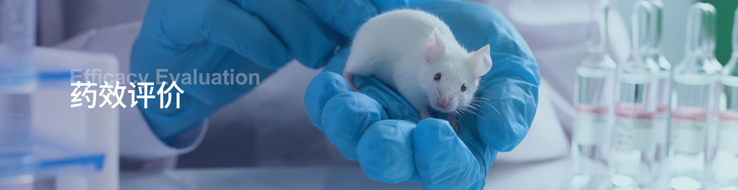 针对B细胞清除疗法的PD实验