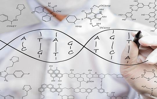 阿兹海默动物模型你了解多少？