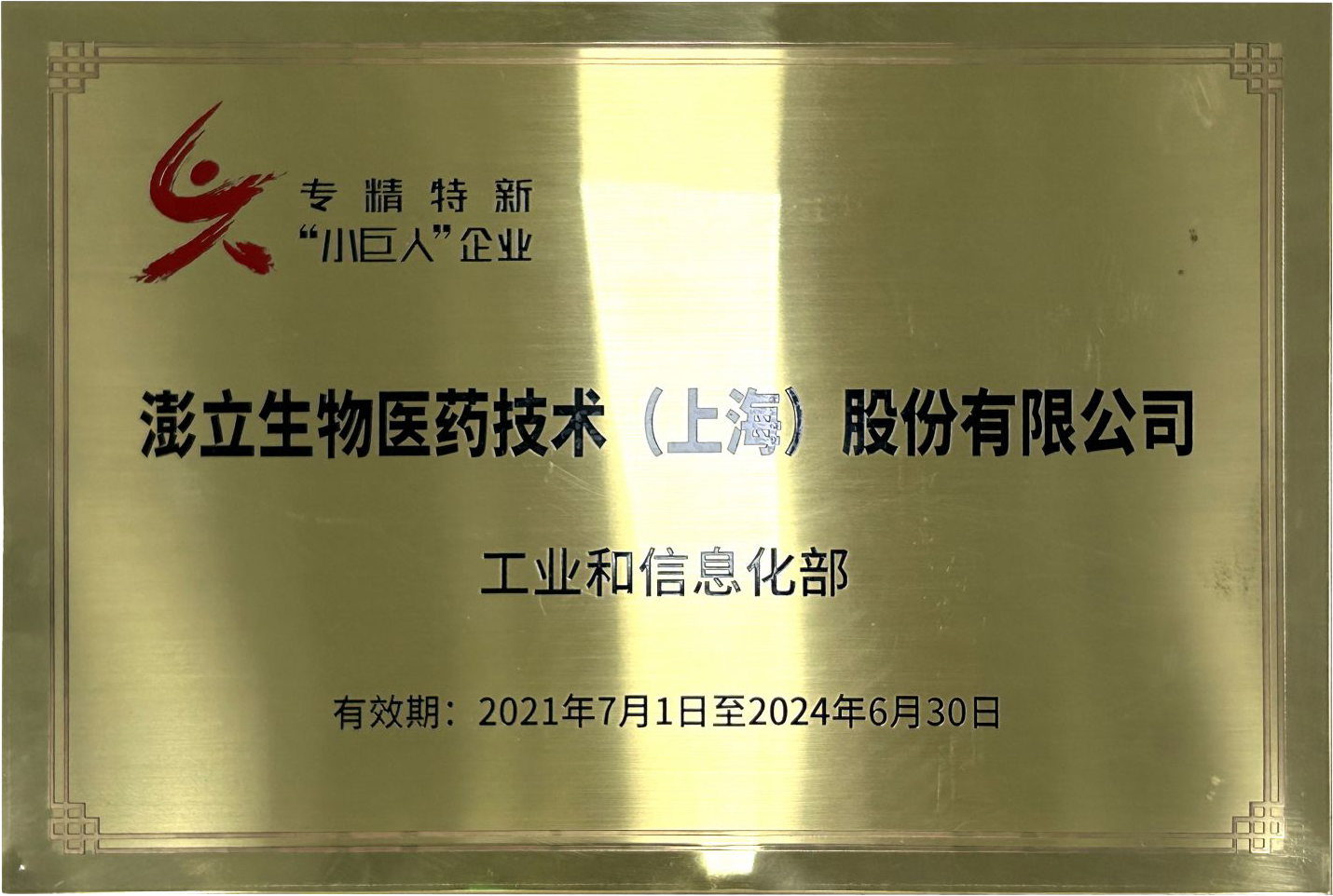 国家级专精 特 新“小巨人”企业